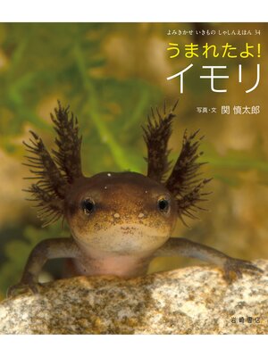 cover image of うまれたよ!イモリ